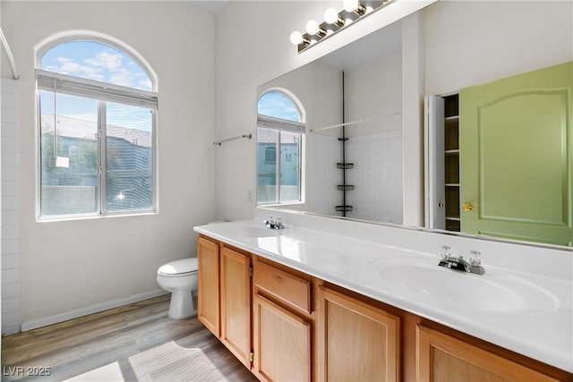 bathroom with vanity, hardwood / wood-style floors, and toilet