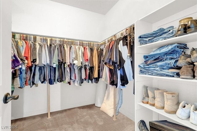 walk in closet featuring carpet flooring