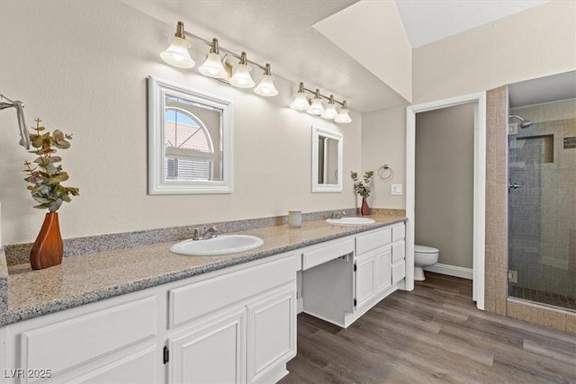 bathroom with double vanity, wood finished floors, a stall shower, and a sink