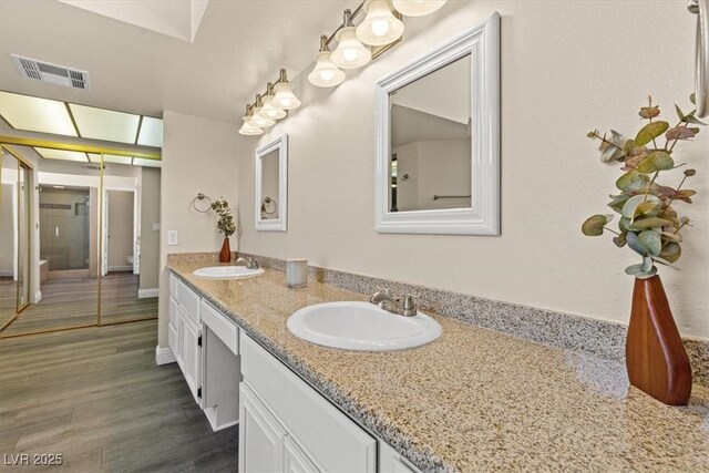 bathroom with vanity and wood-type flooring