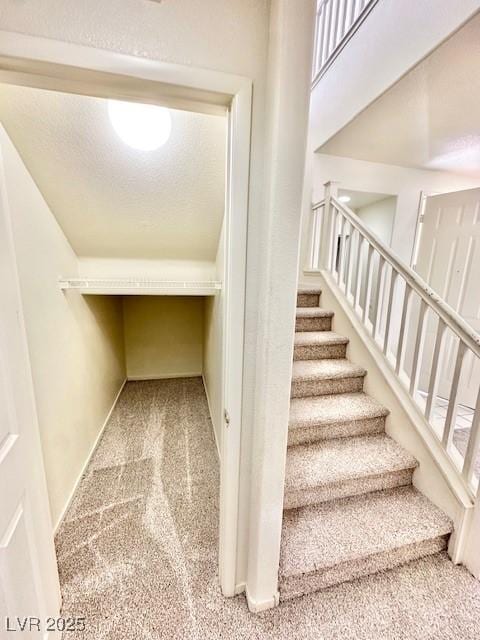 stairway featuring a textured ceiling and carpet flooring