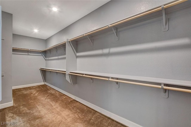 spacious closet featuring dark colored carpet