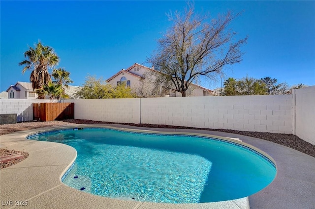 view of pool with a fenced backyard and a fenced in pool