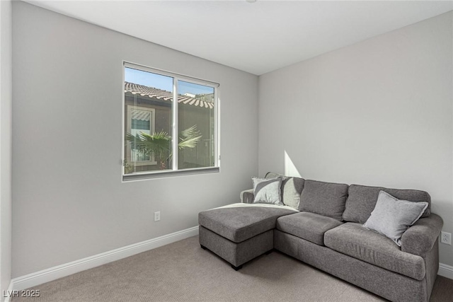 living room with carpet floors