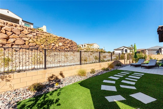 view of yard with a patio area