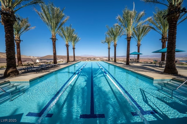 view of pool with a patio area