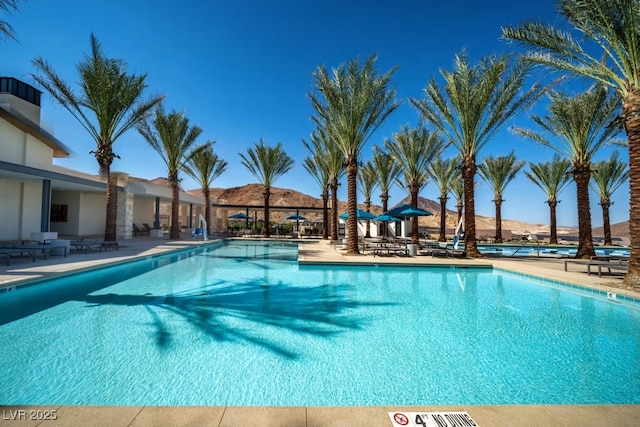 view of swimming pool with a patio