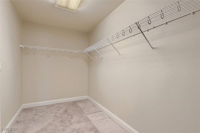 walk in closet with light carpet