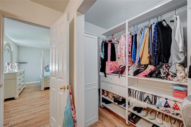 walk in closet with light hardwood / wood-style flooring