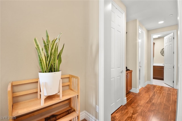 hall featuring wood-type flooring