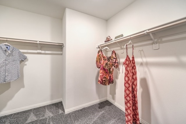 spacious closet featuring dark carpet