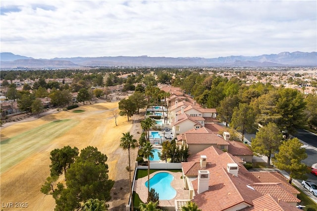 7909 Rio Rico Dr, Las Vegas, NV 89113 - photo 46