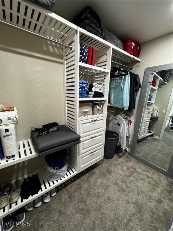 walk in closet featuring carpet flooring