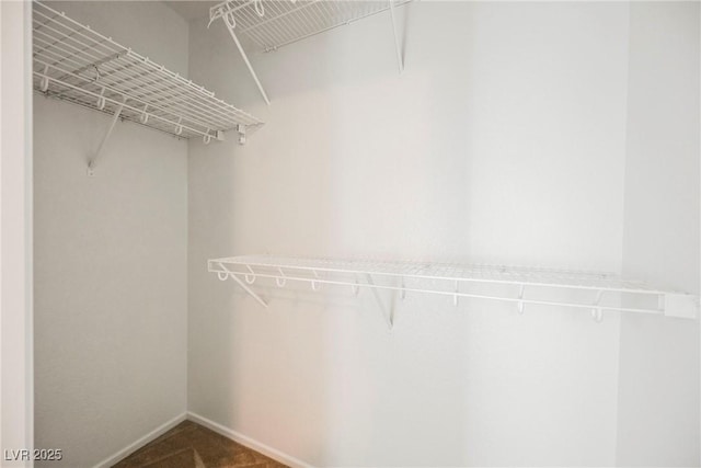 spacious closet with dark colored carpet