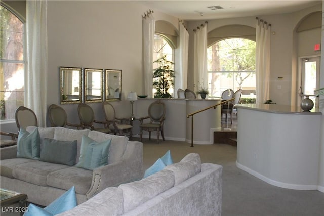 living room featuring carpet floors