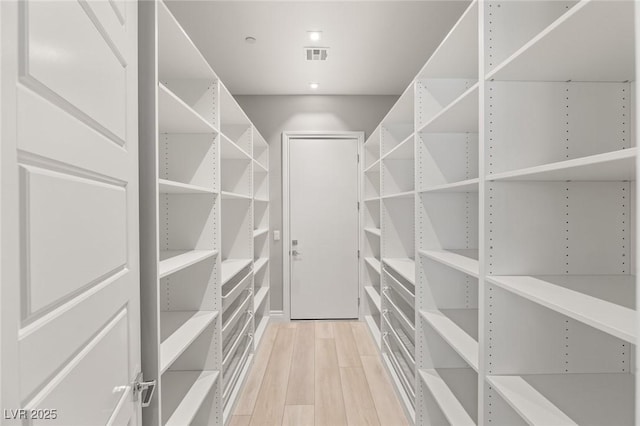 spacious closet with light wood-type flooring