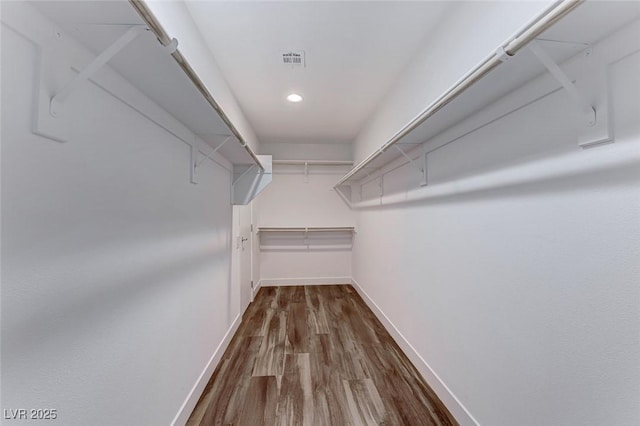 walk in closet featuring wood-type flooring