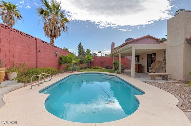 view of pool with a patio