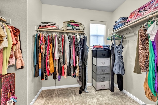 spacious closet featuring carpet floors