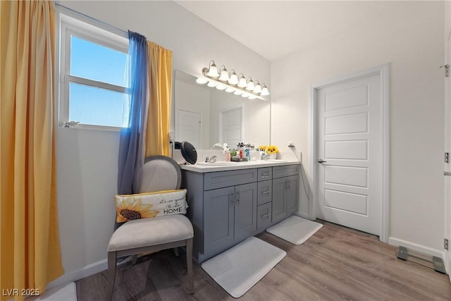 bathroom with vanity and hardwood / wood-style floors