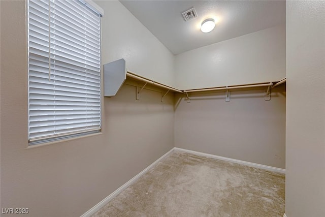 spacious closet featuring light colored carpet