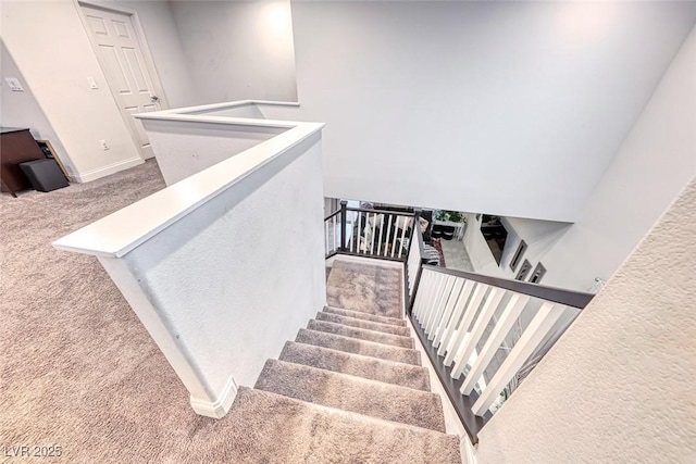 stairway with carpet floors