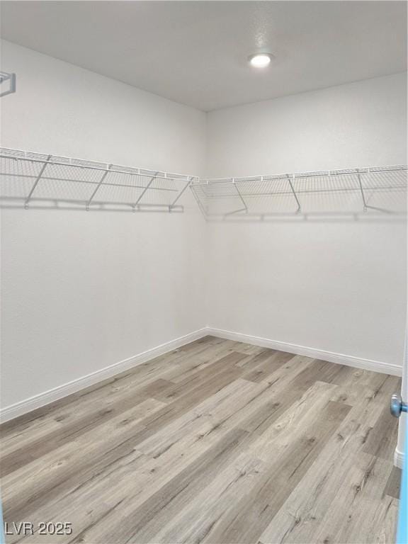 spacious closet featuring light wood-type flooring