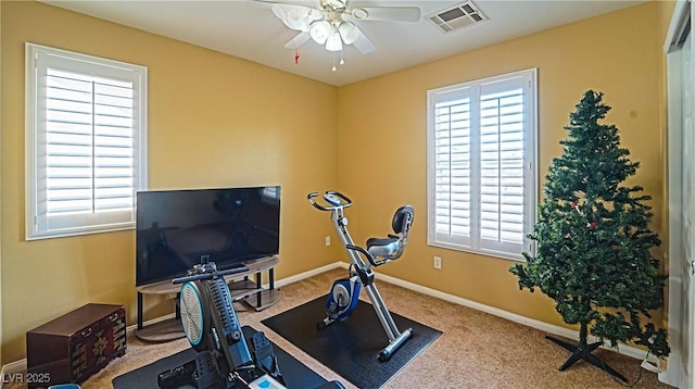 exercise room featuring plenty of natural light, carpet flooring, and ceiling fan