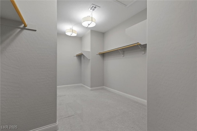 spacious closet with light carpet