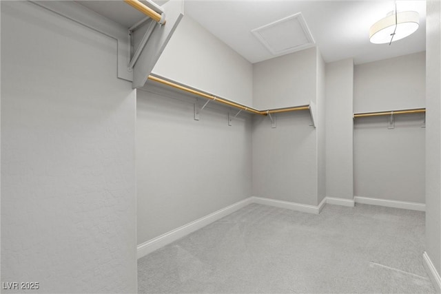 spacious closet with light colored carpet