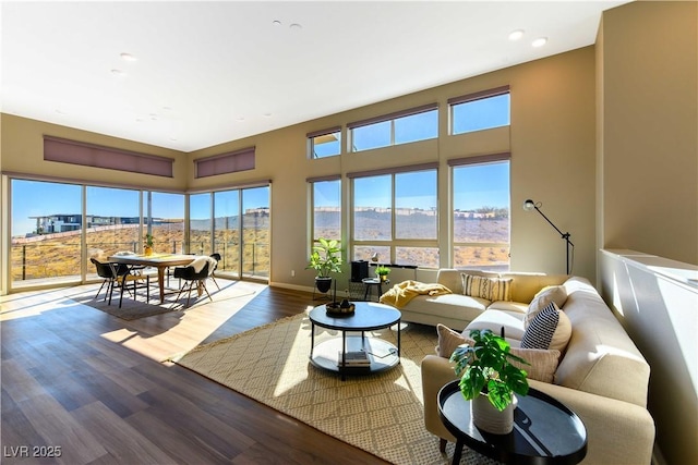 living room featuring wood-type flooring and a mountain view