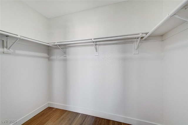 spacious closet with hardwood / wood-style floors