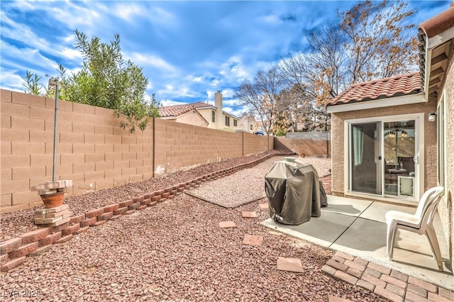 view of yard with a patio area