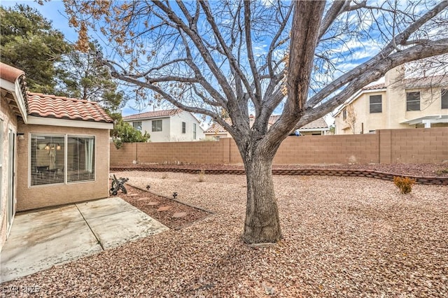 view of yard featuring a patio