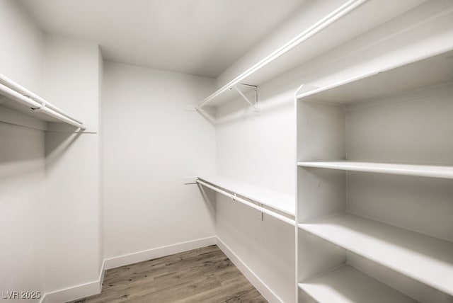 walk in closet with wood finished floors