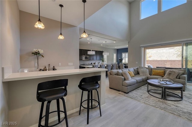 living room featuring a towering ceiling, plenty of natural light, and light hardwood / wood-style floors