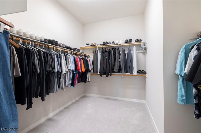 spacious closet with carpet flooring