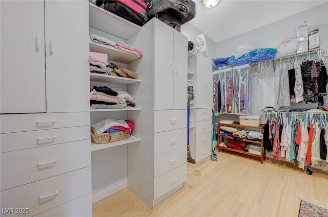 spacious closet featuring light wood-type flooring