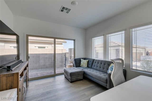 living room featuring wood-type flooring