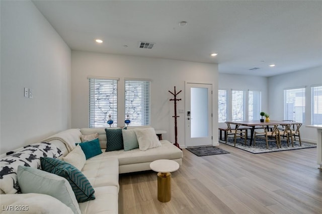 living room featuring light hardwood / wood-style flooring