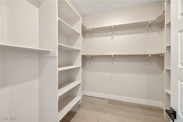 walk in closet featuring light hardwood / wood-style floors