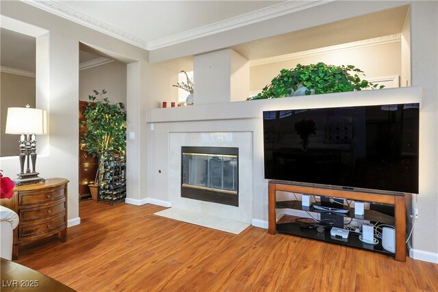 living room with a fireplace, wood-type flooring, and ornamental molding