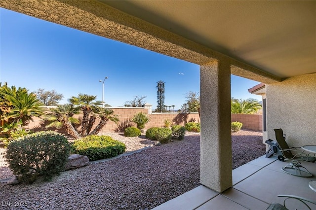 view of yard featuring a patio