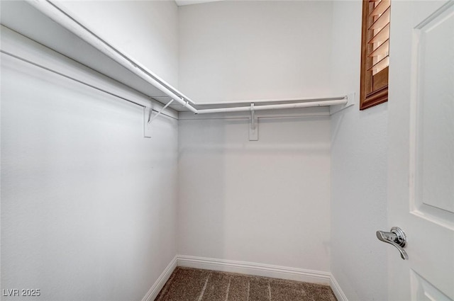 spacious closet with carpet flooring