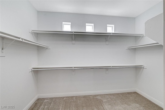 walk in closet featuring light colored carpet