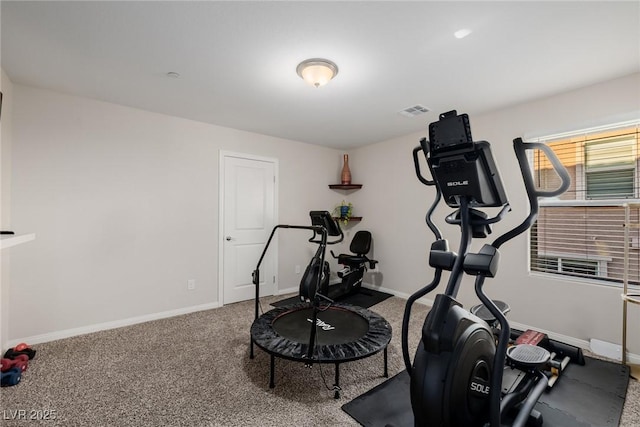 workout area featuring carpet flooring