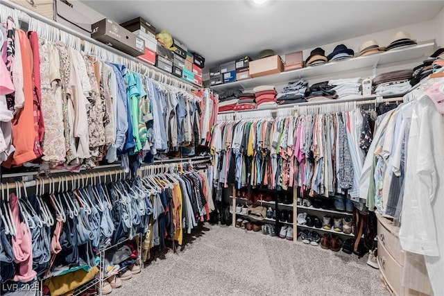 walk in closet featuring carpet