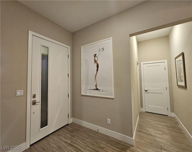 entrance foyer featuring wood-type flooring