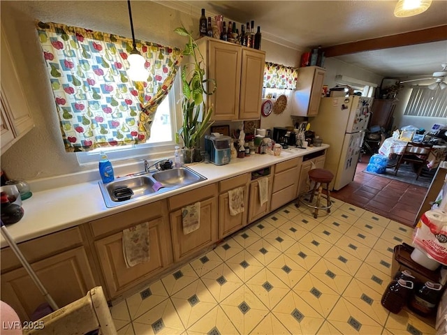 kitchen featuring pendant lighting, sink, ceiling fan, and white fridge