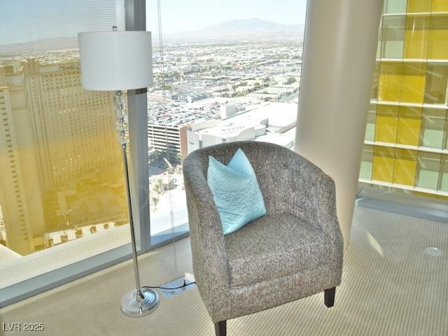 living area with a mountain view